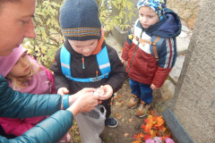 DSCN2209