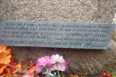 DSCN2211