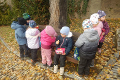 DSCN2215