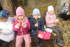 DSCN2217