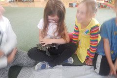 DSCN5866