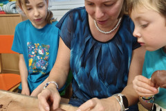 IMG_20251124_151709