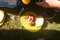 DSCN4279