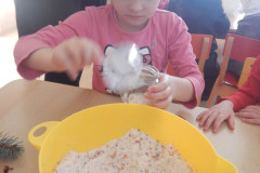 DSCN2271