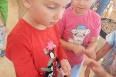 DSCN2293