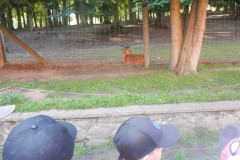 DSCN1005