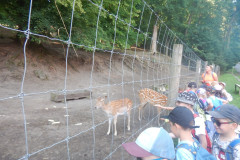 DSCN1019