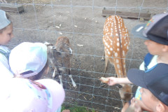 DSCN1021