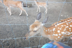 DSCN1024