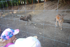 DSCN1025