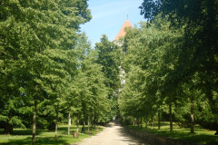 DSCN1061