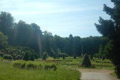DSCN1062