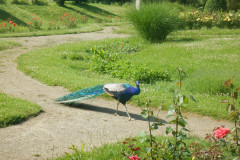 DSCN1065