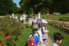 DSCN1074
