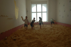 DSCN1096