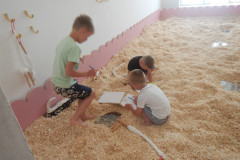 DSCN1100