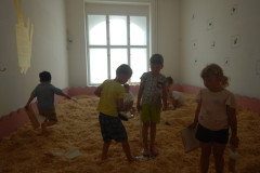 DSCN1104