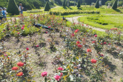 IMG_20250618_095500