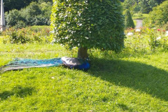 IMG_20250618_095712
