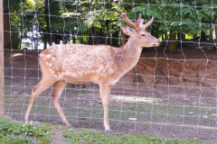 IMG_20250618_100655