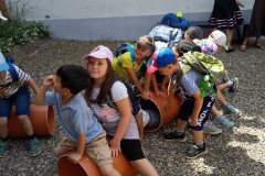 IMG_20250618_114934_424