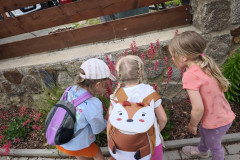 IMG_20260604_163706