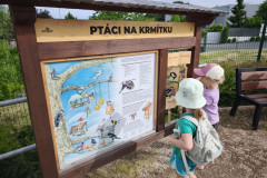 IMG_20260604_172802