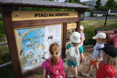 IMG_20260604_172804