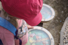 IMG_20260604_172815