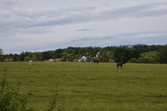 IMG_20260604_173315