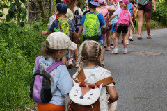 IMG_20260604_173329