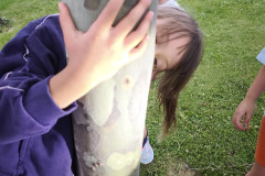 IMG_20260604_203629