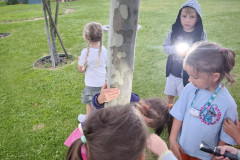 IMG_20260604_203631