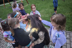 IMG_20260604_204704