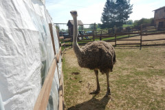 DSCN7762