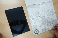 DSCN3379