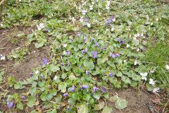 DSCN9494