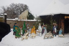 DSCN3590