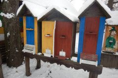 DSCN3598