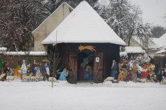 DSCN3605