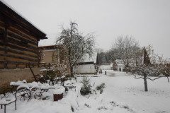 DSCN3610