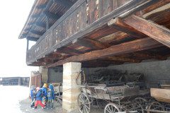 DSCN3618