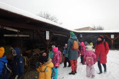 DSCN3627