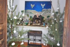 DSCN3654