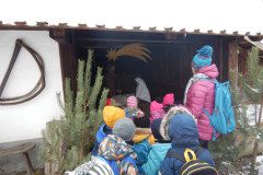 DSCN3682