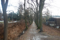 DSCN5028