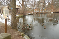 DSCN5059