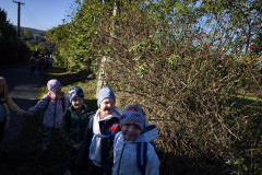 IMG_20260925_090900