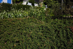 IMG_20260925_092039