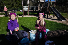 IMG_20260925_093409